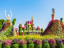 Dubai Miracle Garden Skip-the-Line Entry Tickets